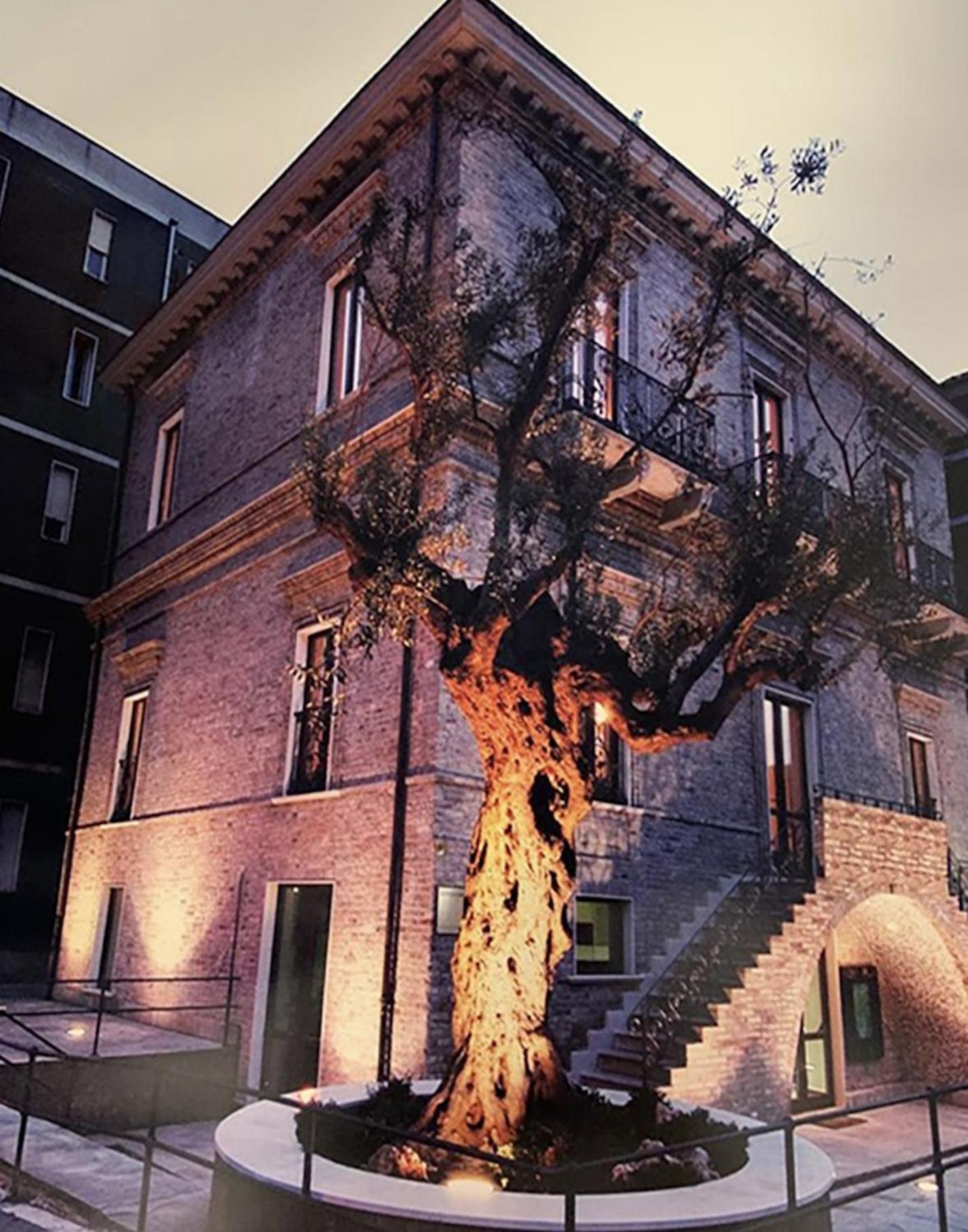 B&B Palazzo Storico Di Nicola เปสการา ภายนอก รูปภาพ